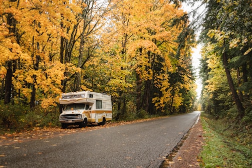 A camper van is parked by the side of a road surrounded by trees with vibrant yellow and green foliage on a rainy day. The road stretches into the distance, flanked by the autumn-colored forest. The ground is wet, and there are fallen leaves scattered around.