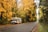 A camper van is parked by the side of a road surrounded by trees with vibrant yellow and green foliage on a rainy day. The road stretches into the distance, flanked by the autumn-colored forest. The ground is wet, and there are fallen leaves scattered around.