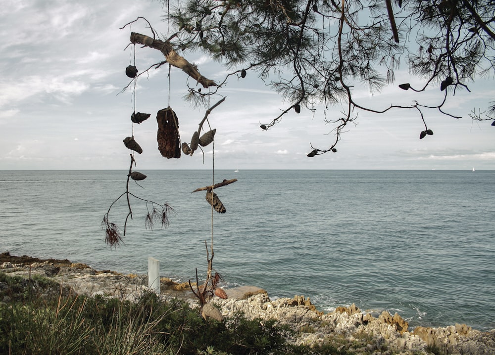 a view of a body of water from a cliff