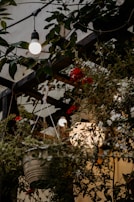 Soft fairy lights twinkling above an outdoor patio filled with lush potted plants.