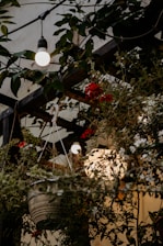 A cozy outdoor wedding setup with string lights glowing at dusk.