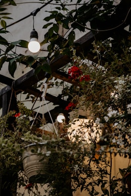 A cozy outdoor setting with LED string lights hanging.