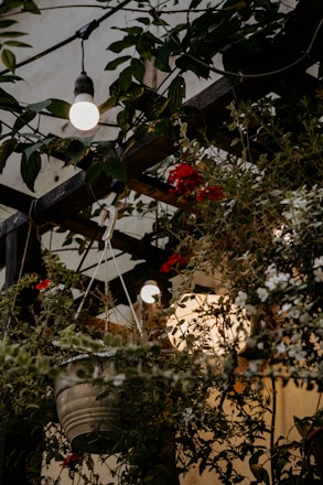A cozy outdoor wedding setup with string lights glowing at dusk.