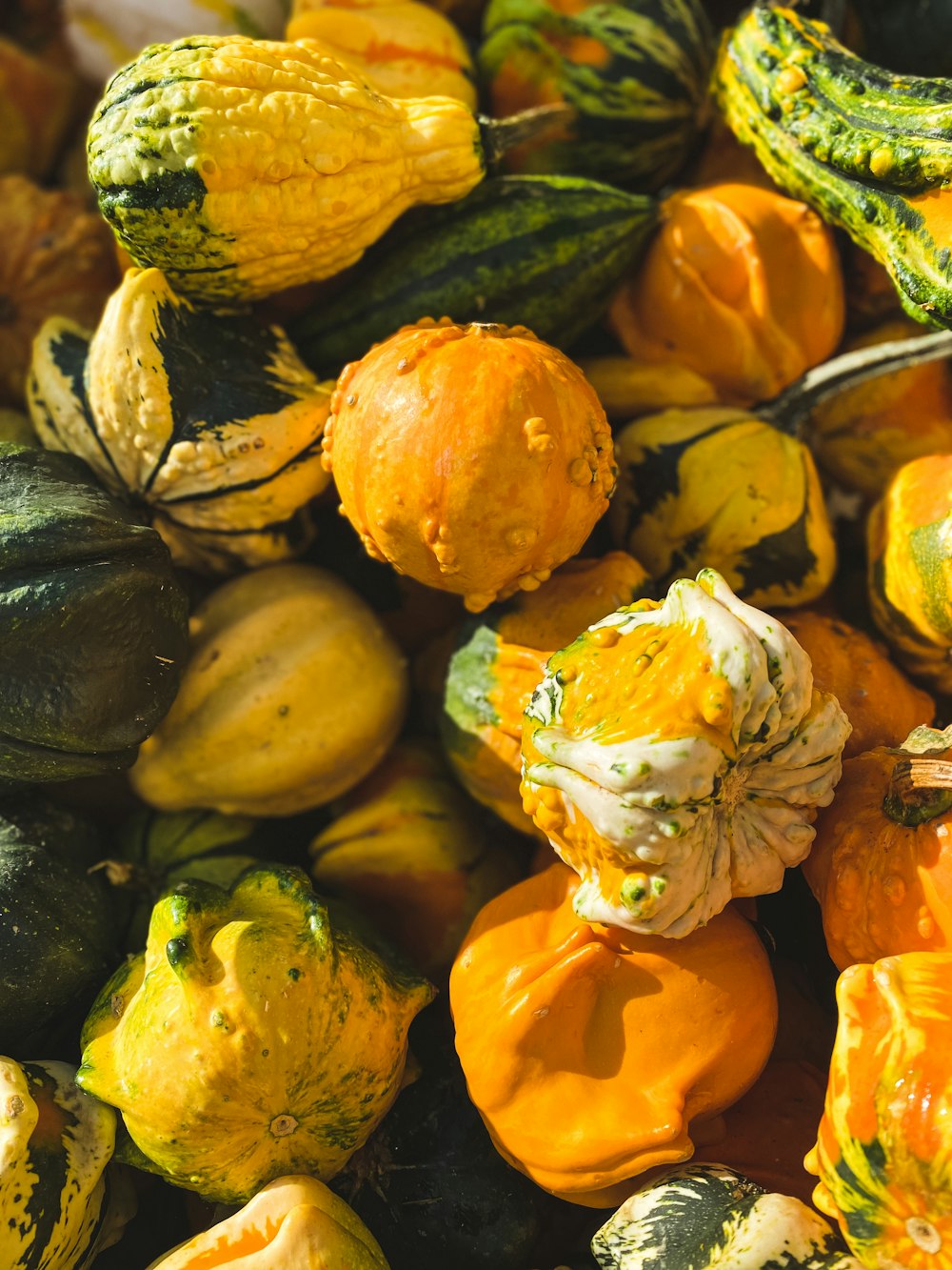 a pile of different types of pumpkins and squash