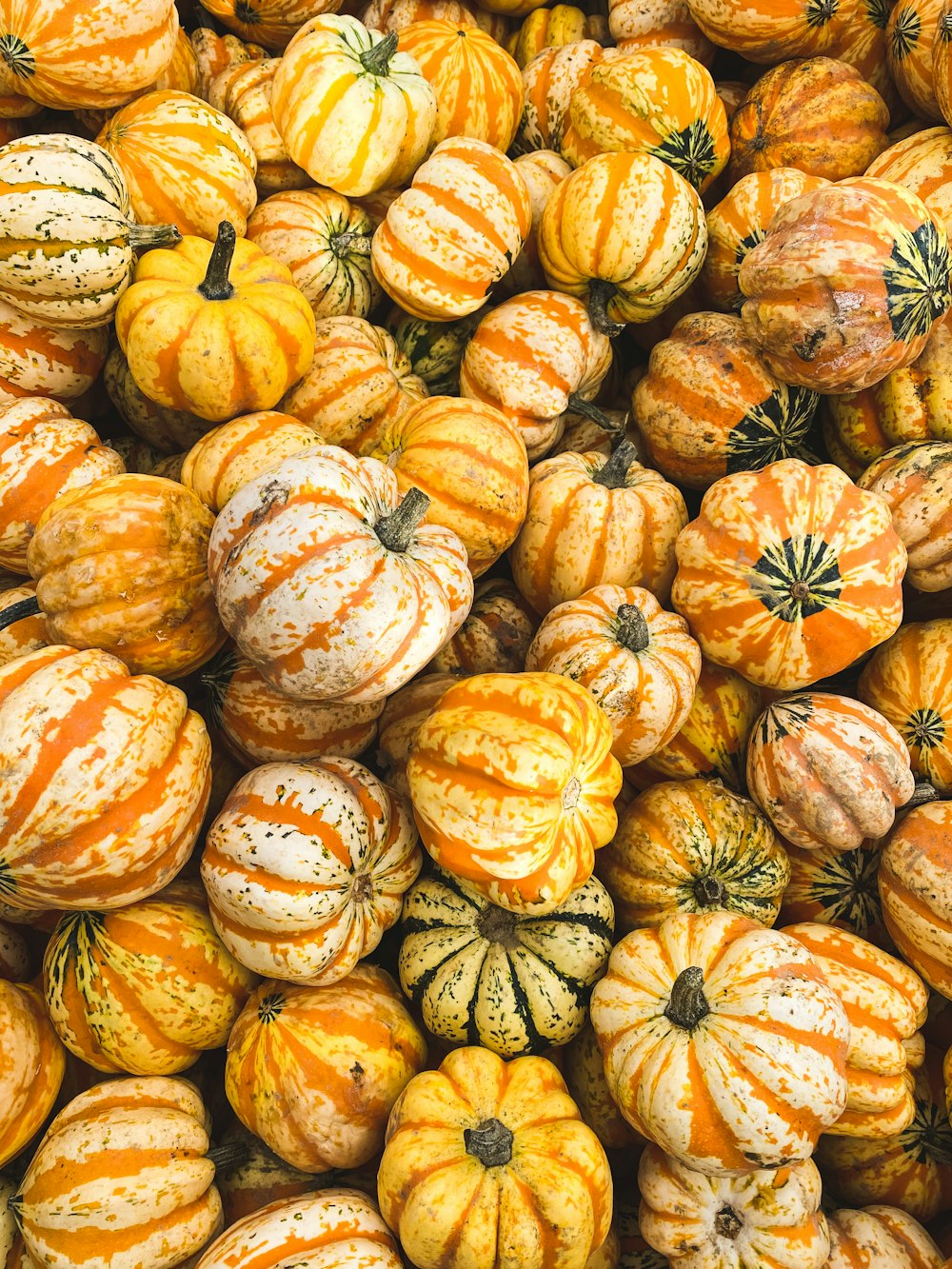 a pile of orange and yellow pumpkins