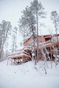 a house in the woods covered in snow