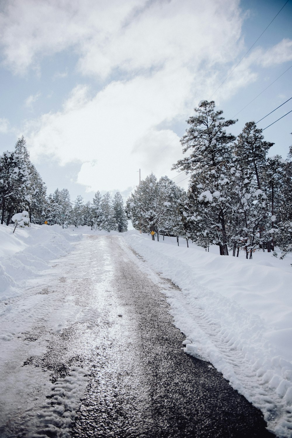 木々の横の雪に覆われた道路
