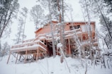 a house in the woods covered in snow