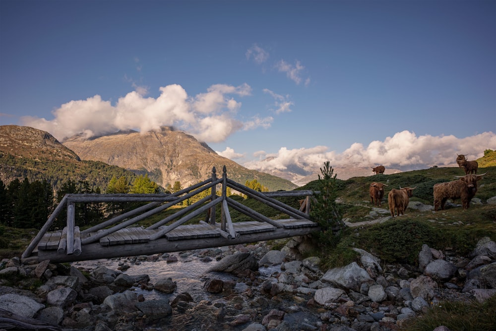 a wooden bridge over a stream in the mountains