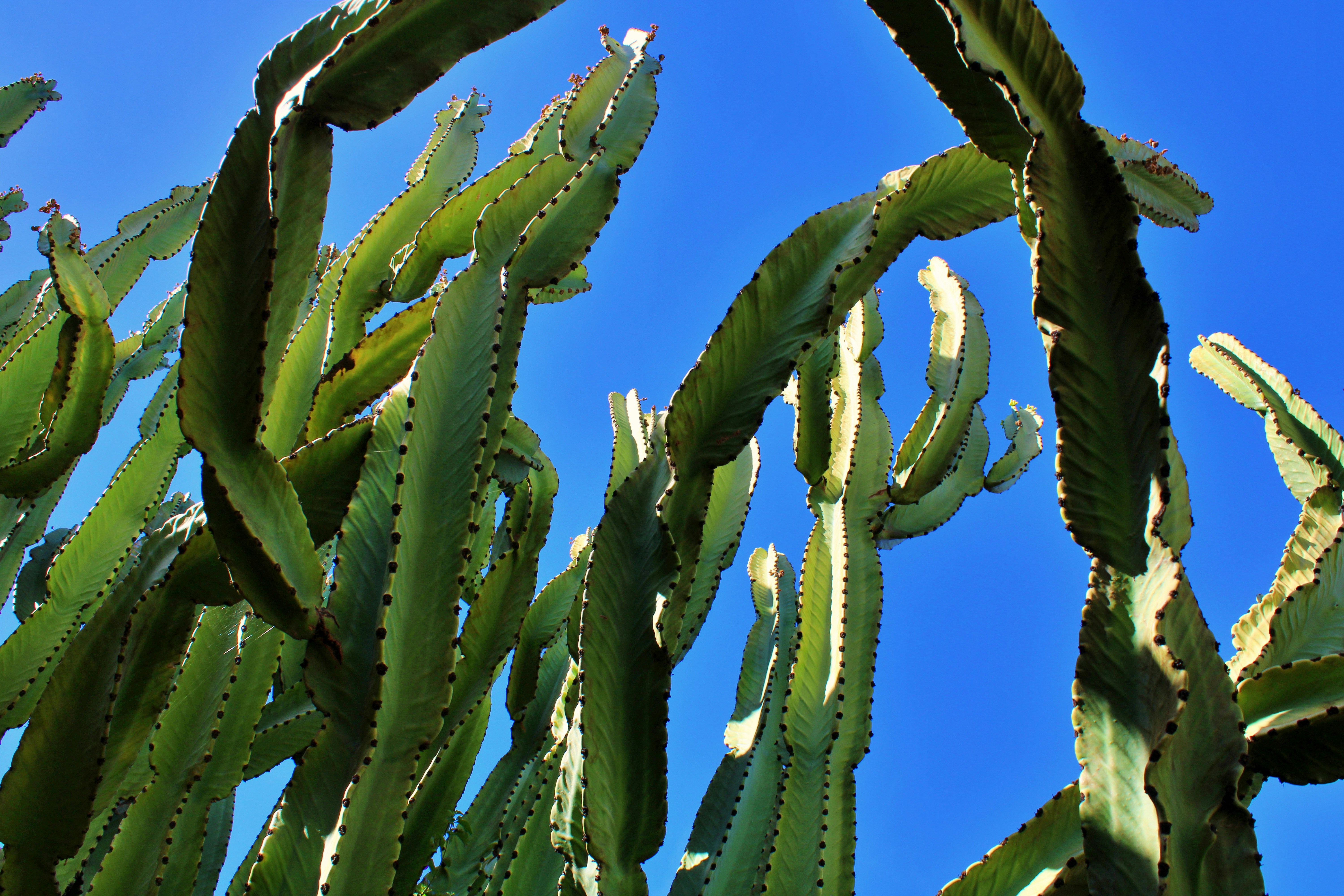 Photo by msantamaria