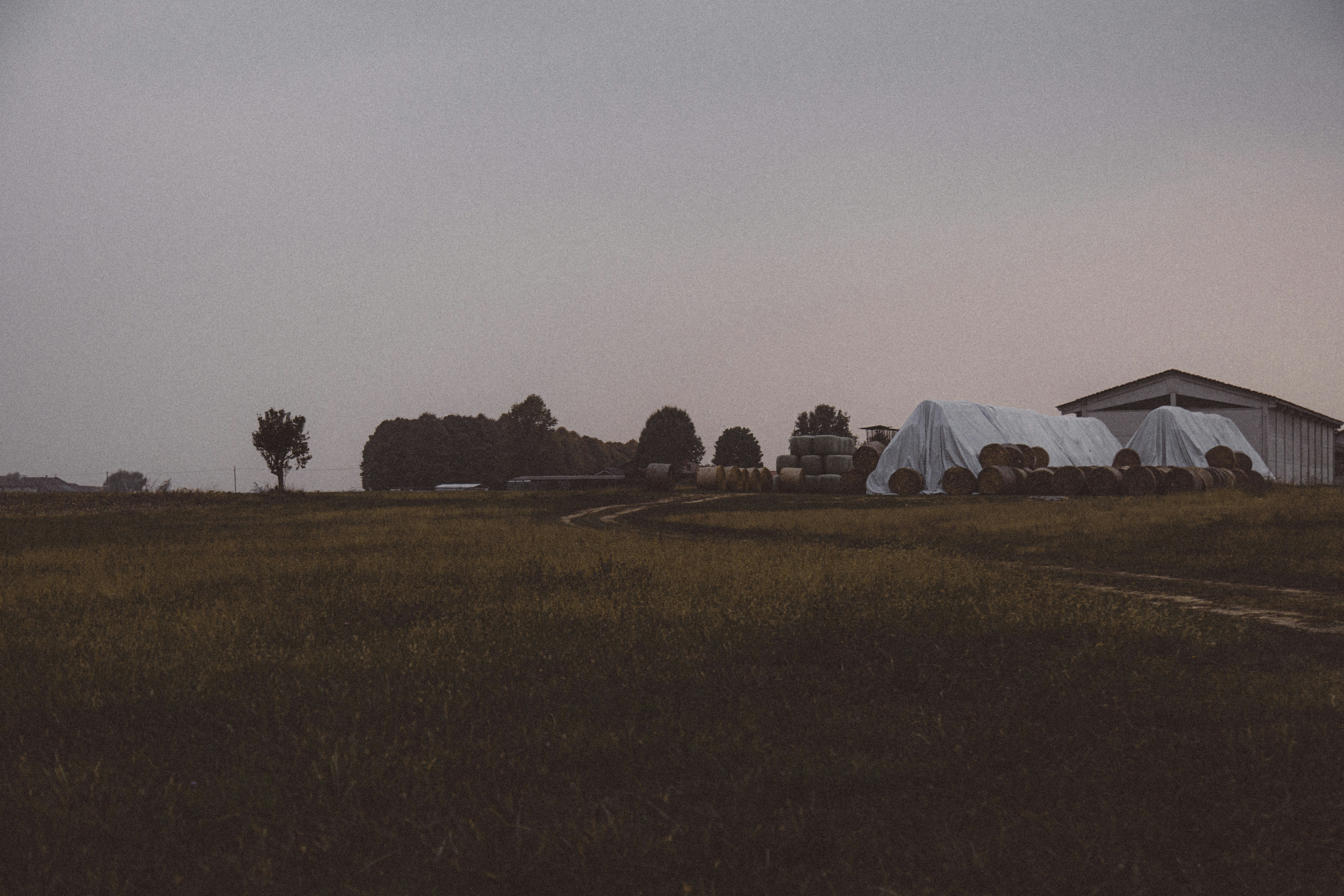 Photo by i_am_simoesse