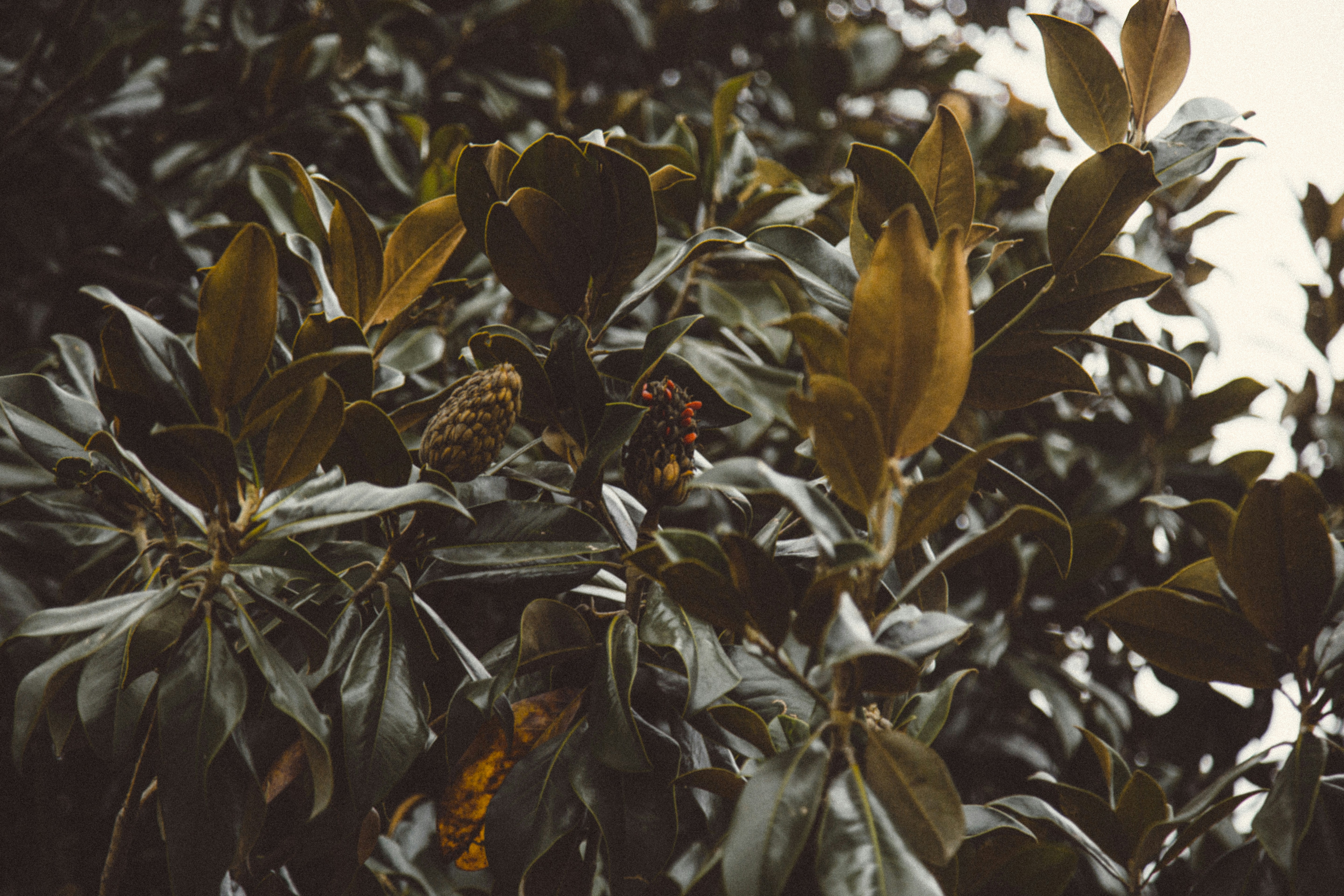 Photo by i_am_simoesse