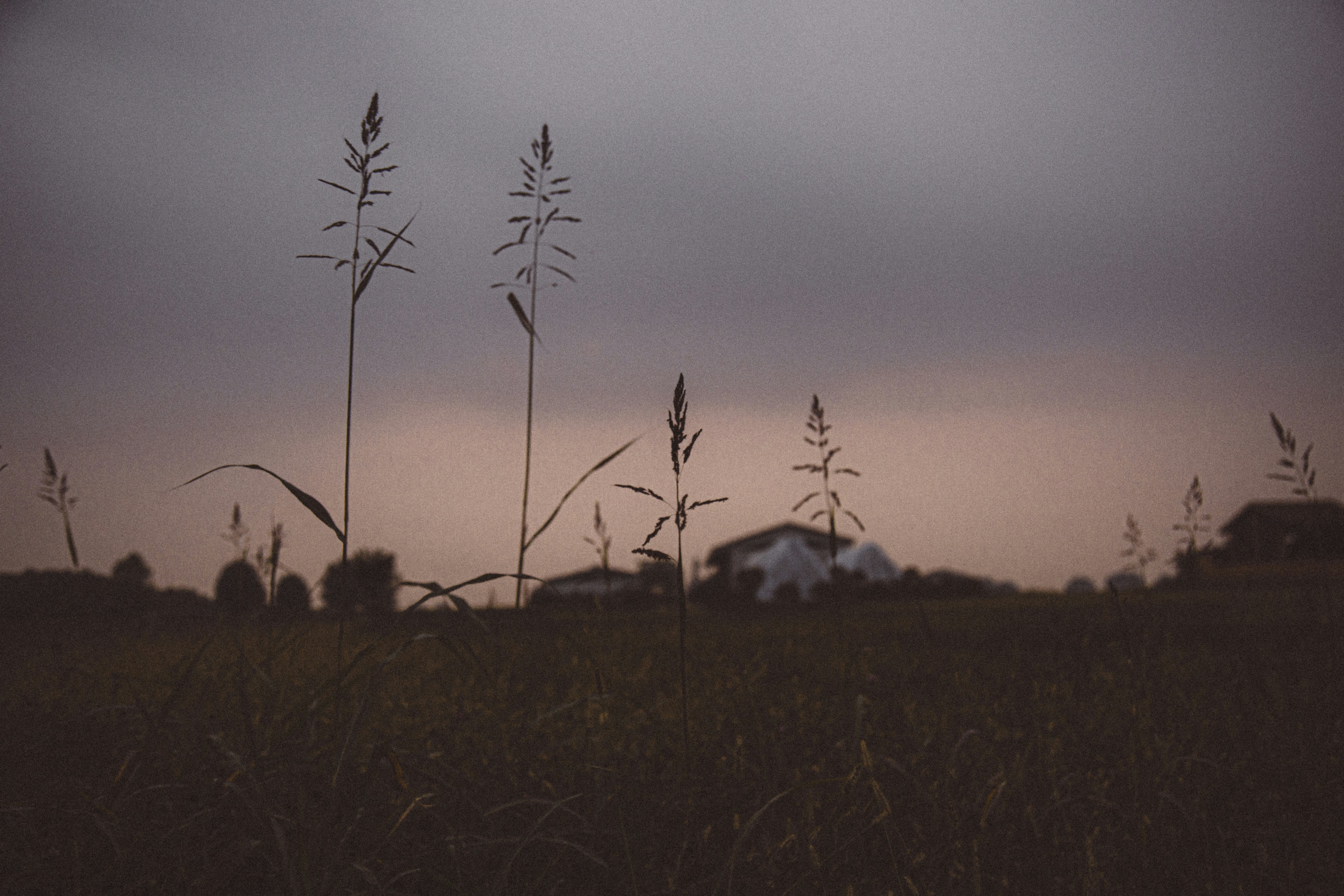 Photo by i_am_simoesse