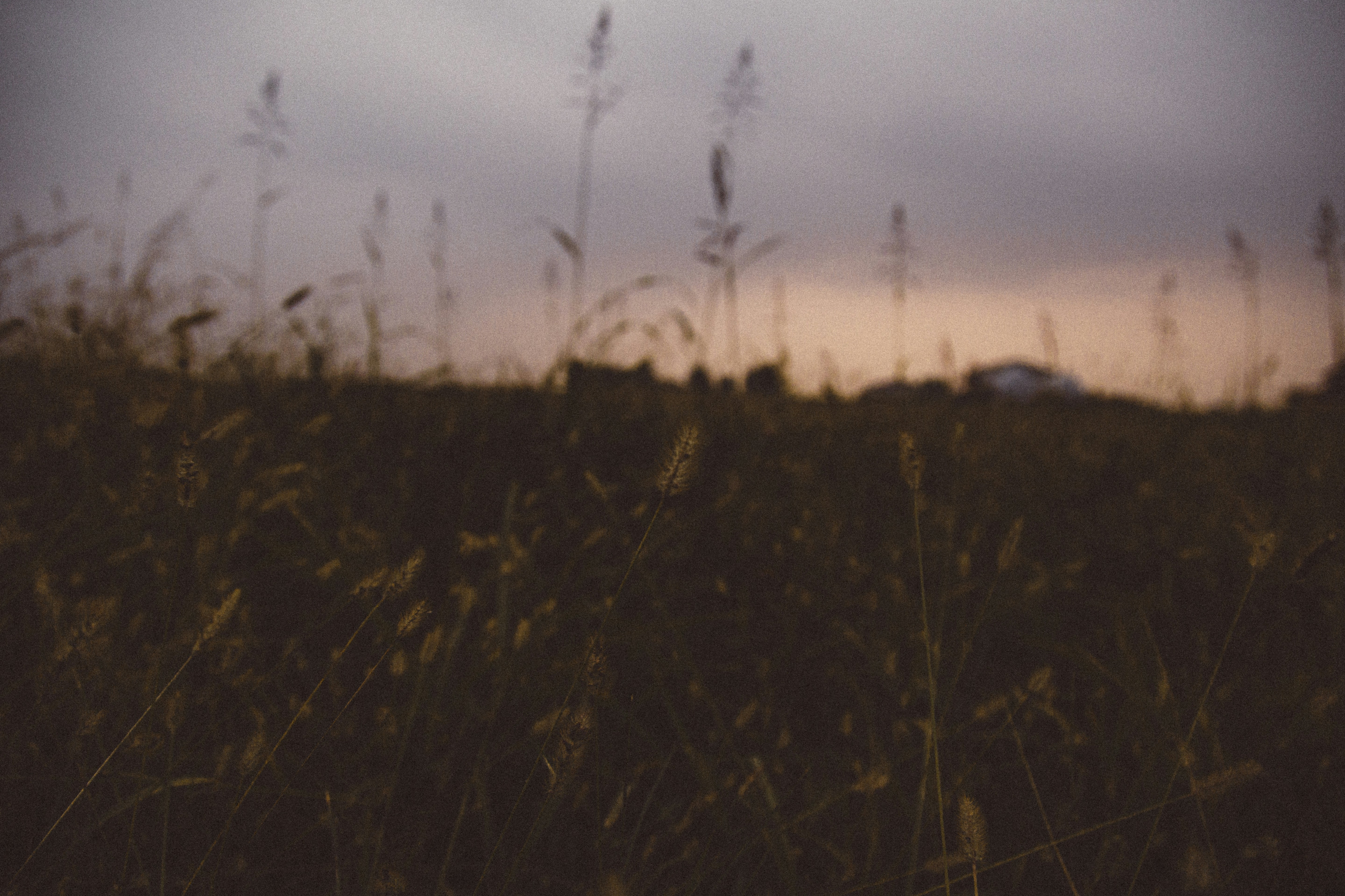 Photo by i_am_simoesse