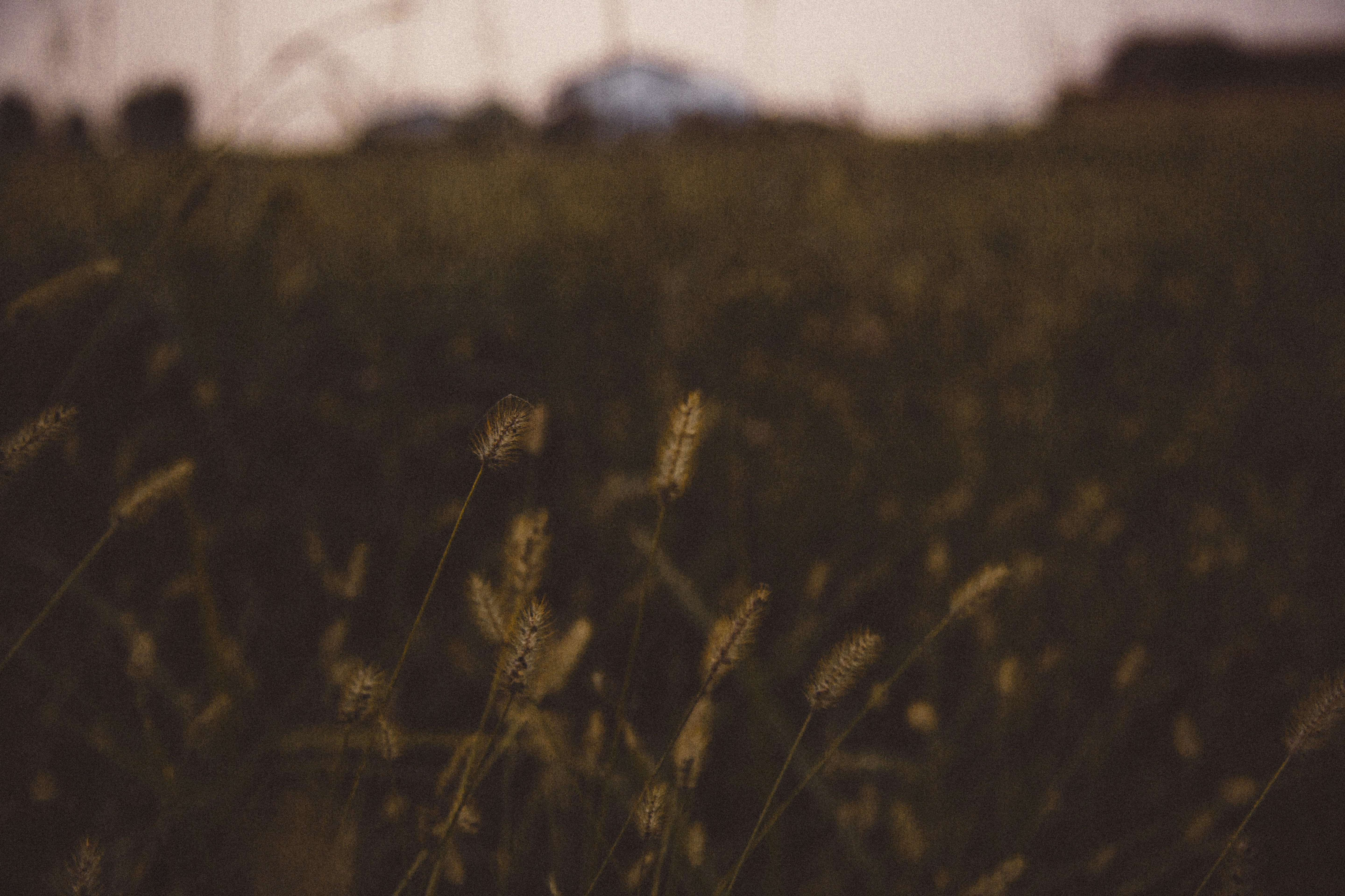 Photo by i_am_simoesse