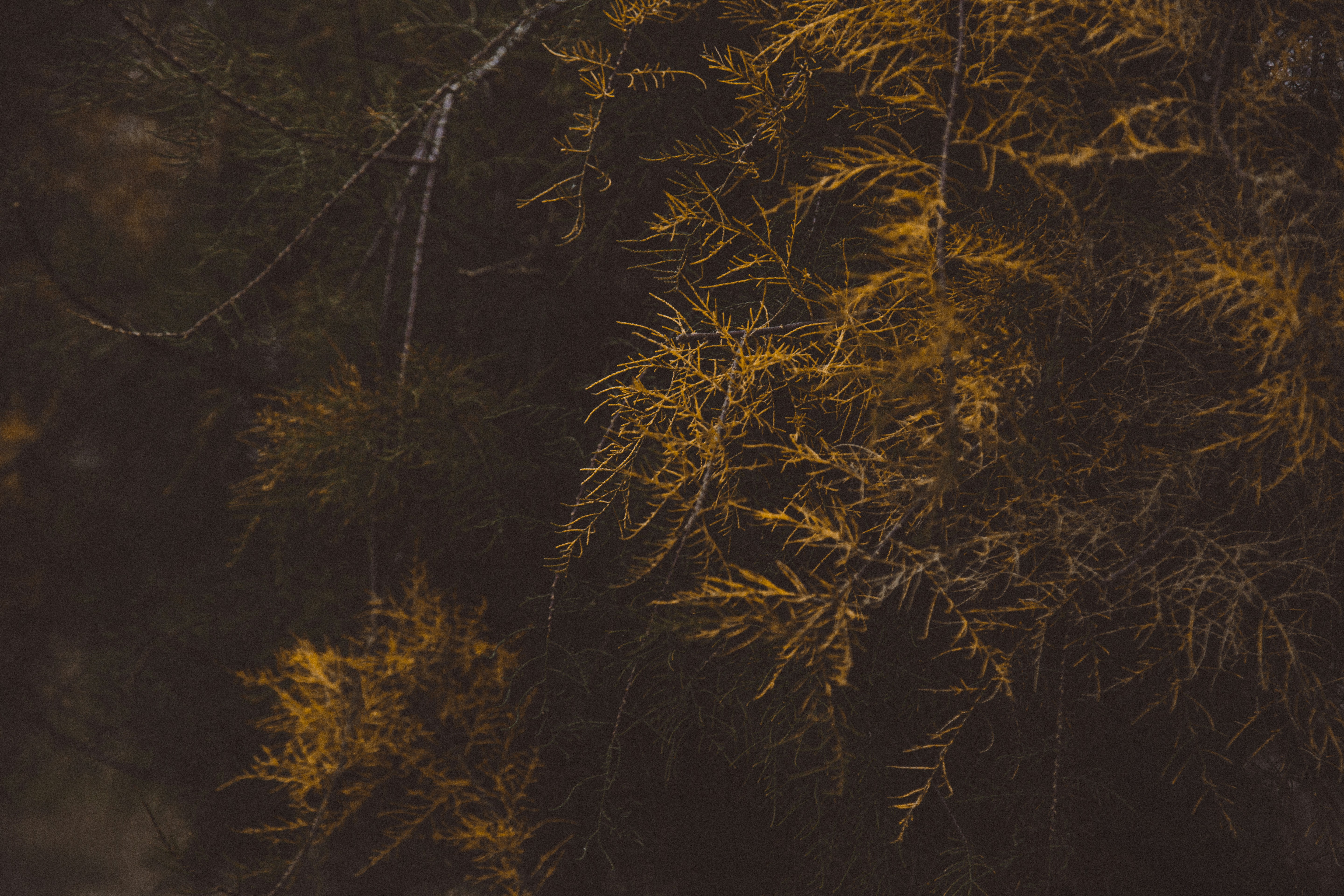 Photo by i_am_simoesse