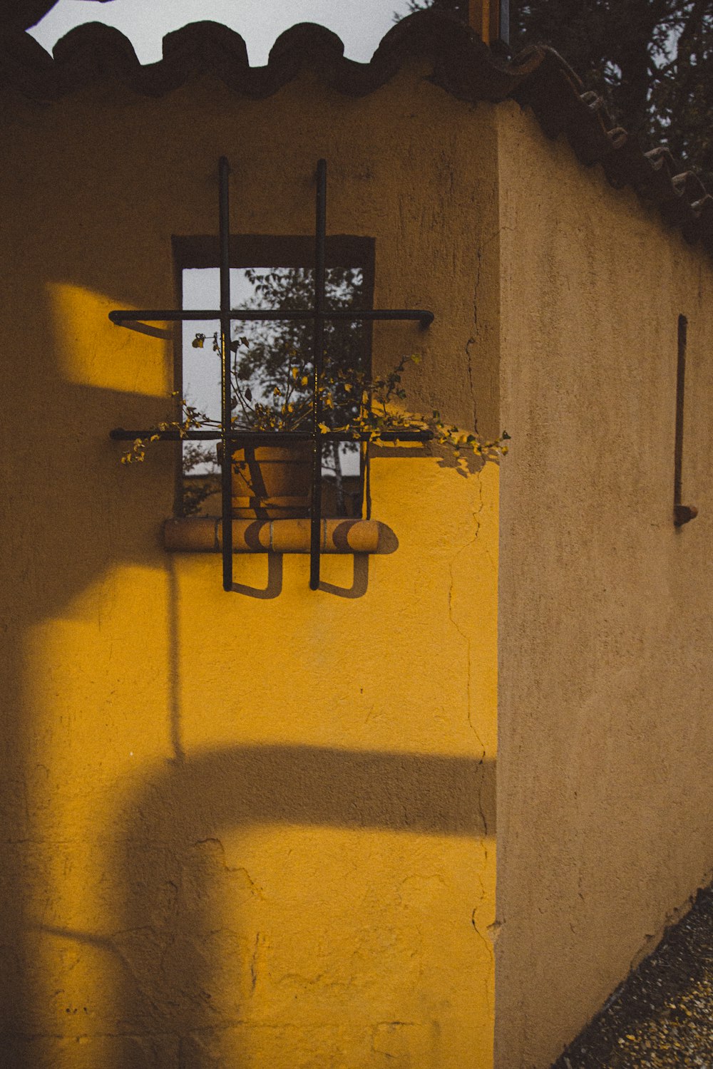 the shadow of a window on a yellow wall