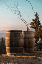 Barriles de vino en medio del  paisaje en la Toscana 