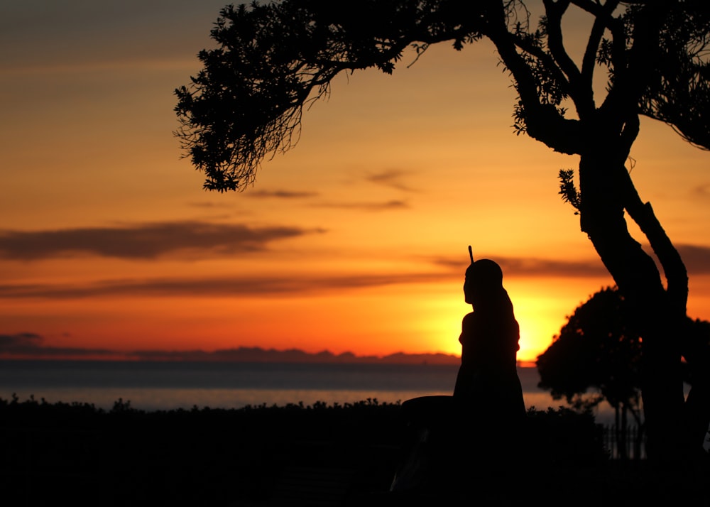 a silhouette of a person standing next to a tree