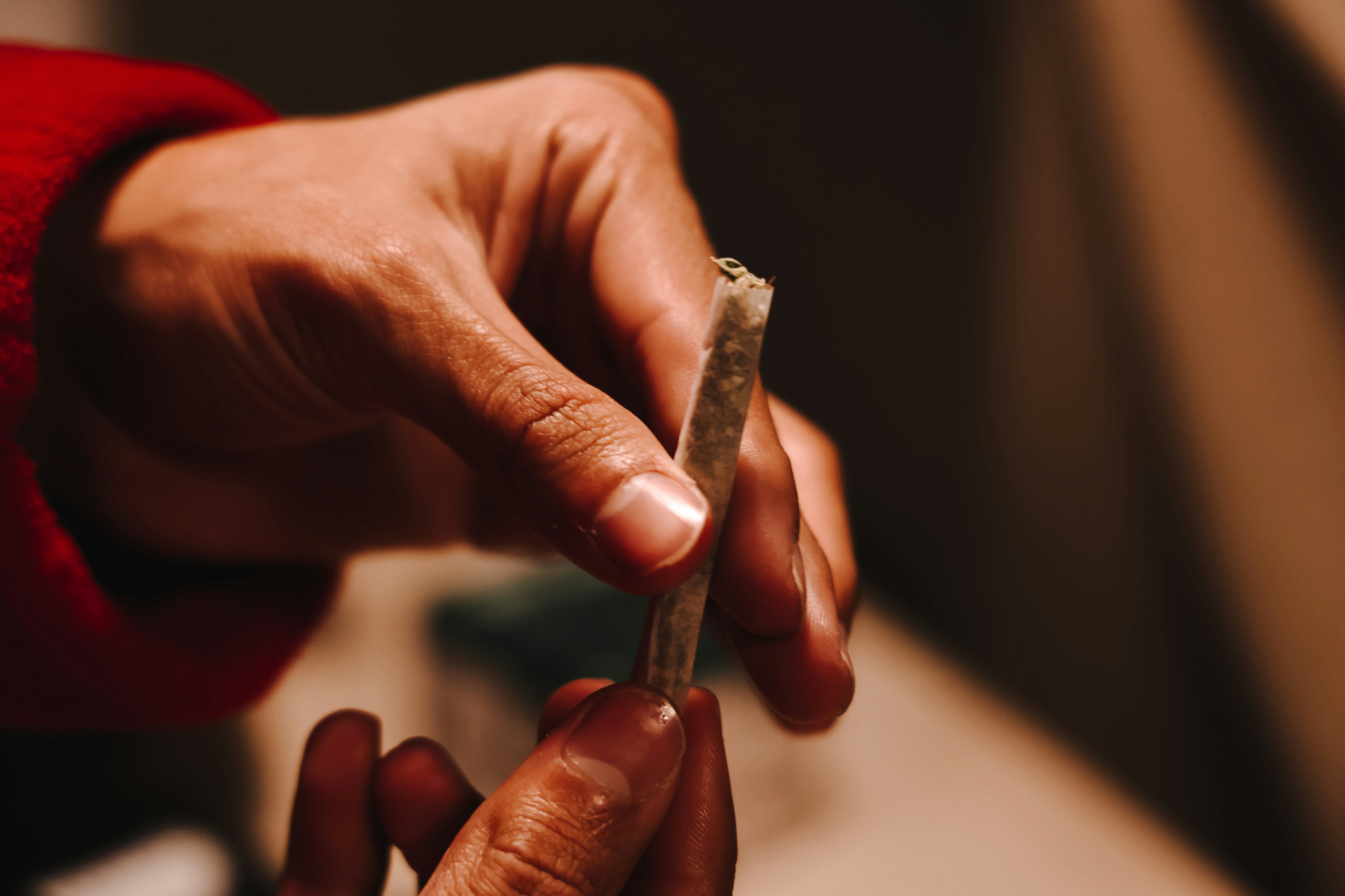 Photo by lentesymentes