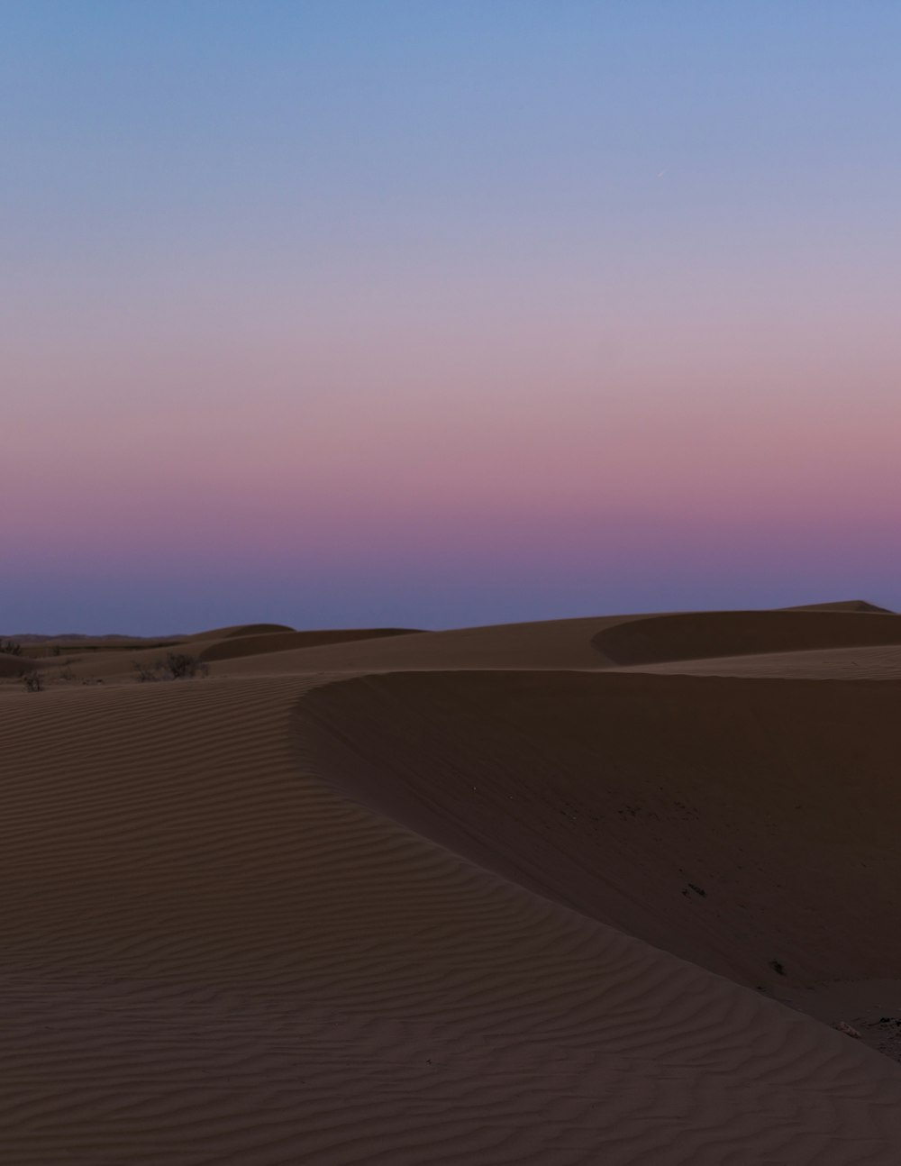 a pink and blue sunset in the desert