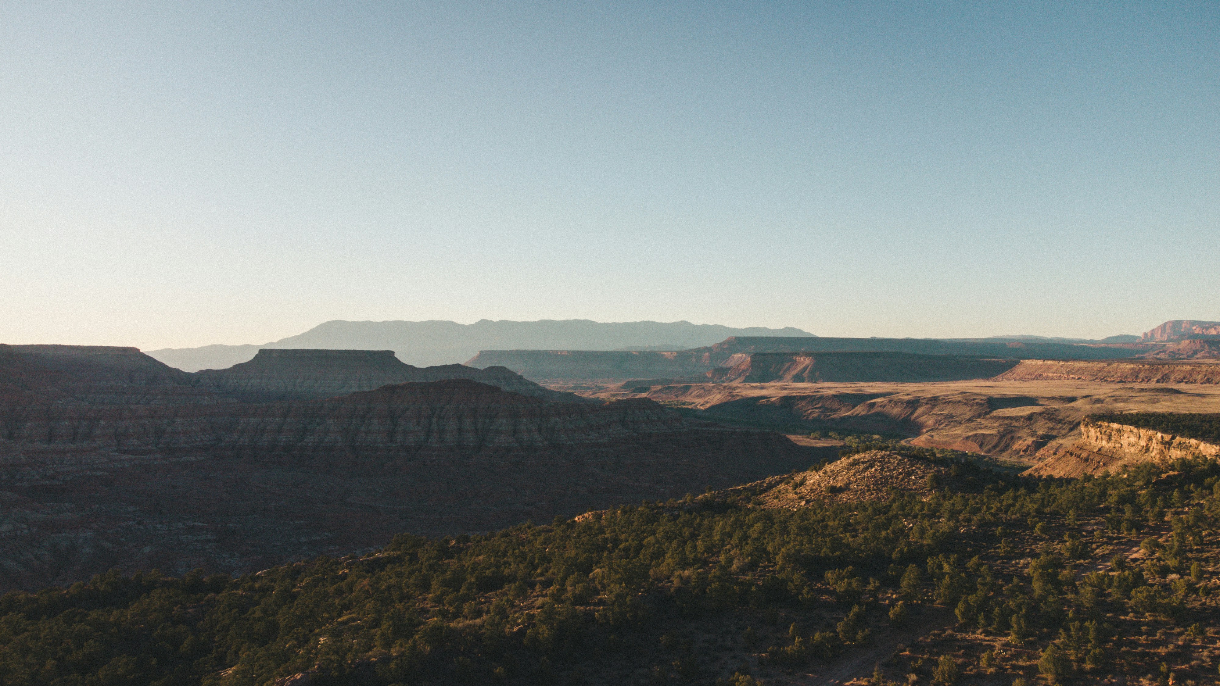 Photo by katie_musial