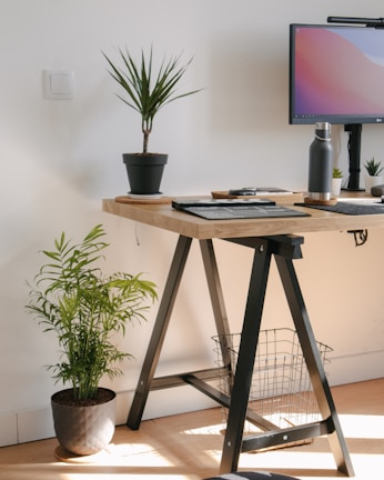 A modern workspace featuring a wooden desk with black trestle legs, a computer monitor, a gray water bottle, and various office supplies. The desk is decorated with a small potted cactus and a larger potted plant. Sunlight streams in, casting shadows on the light wooden floor. A wire wastebasket sits under the desk next to a leafy houseplant on the floor.