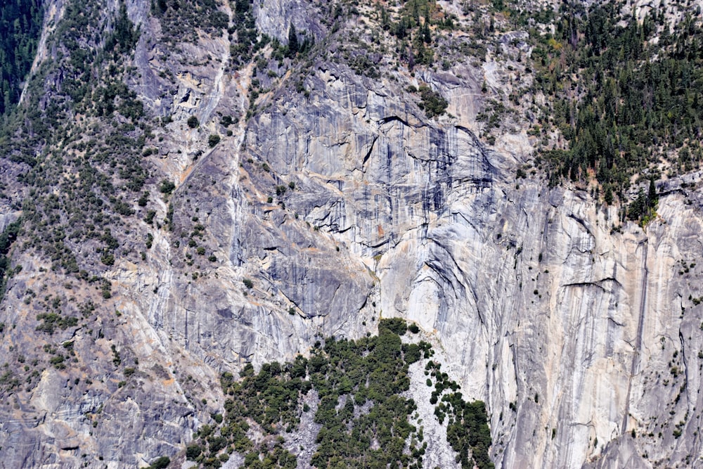 a very tall mountain with some trees on it