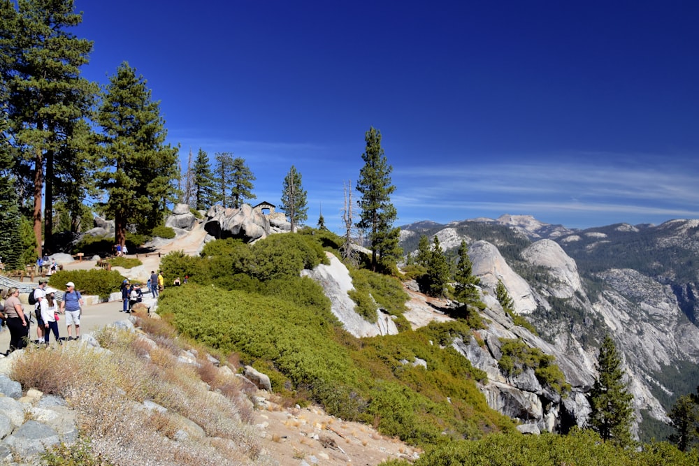 a group of people hiking up a mountain