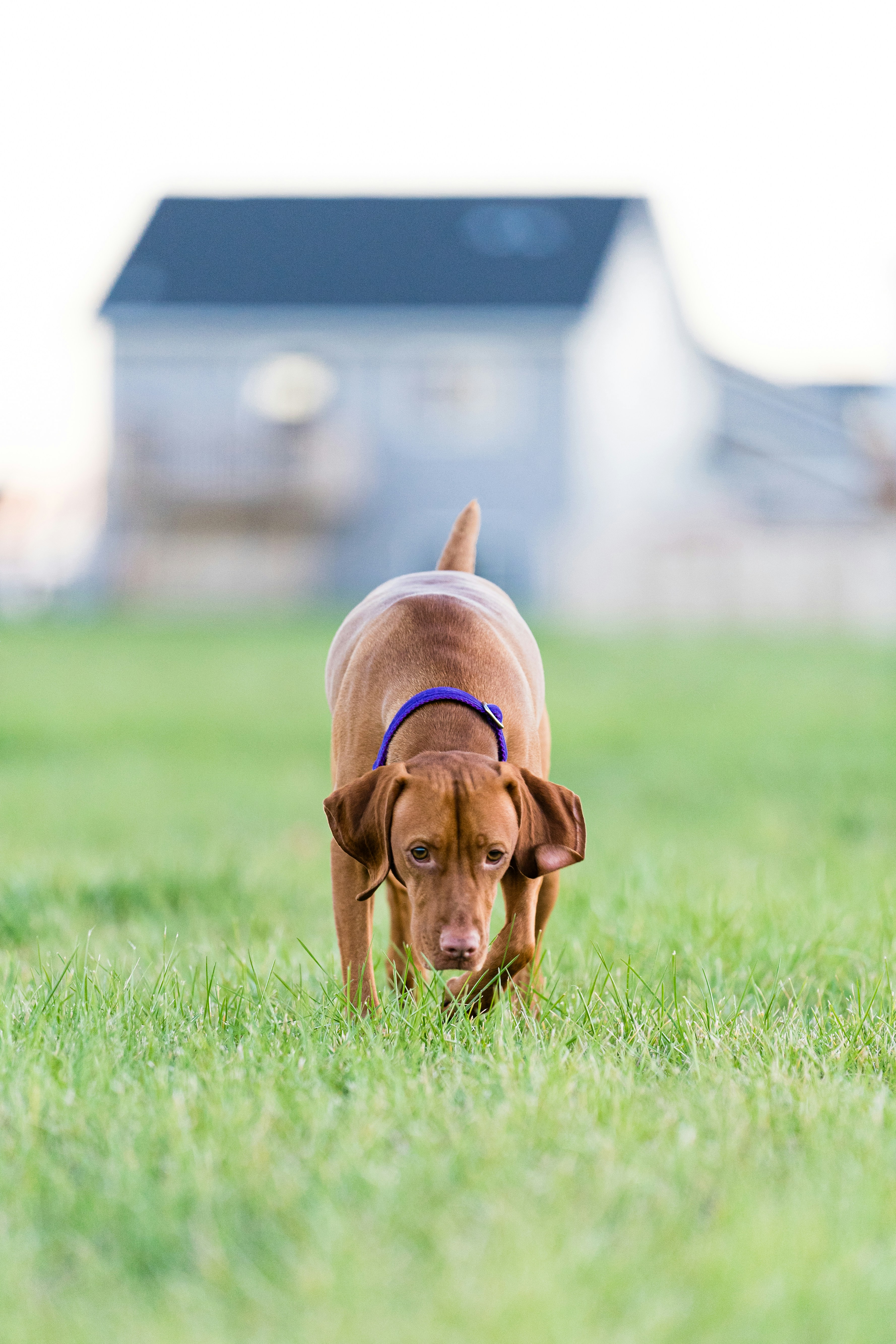 Photo by cole_wyland_24