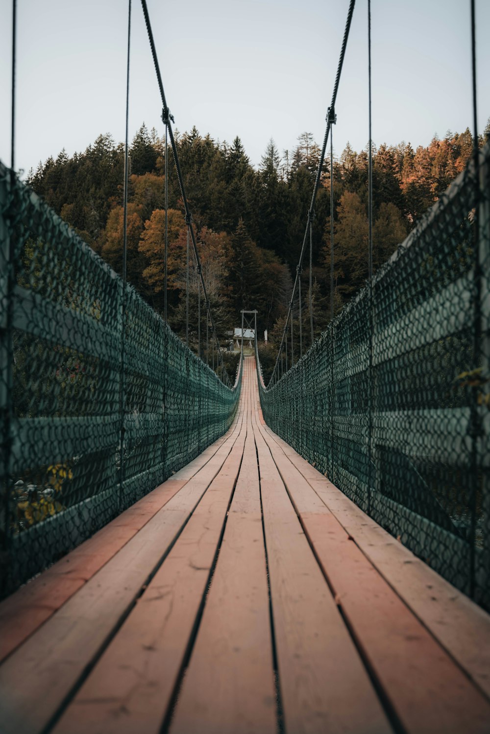a long wooden bridge with a forest in the background