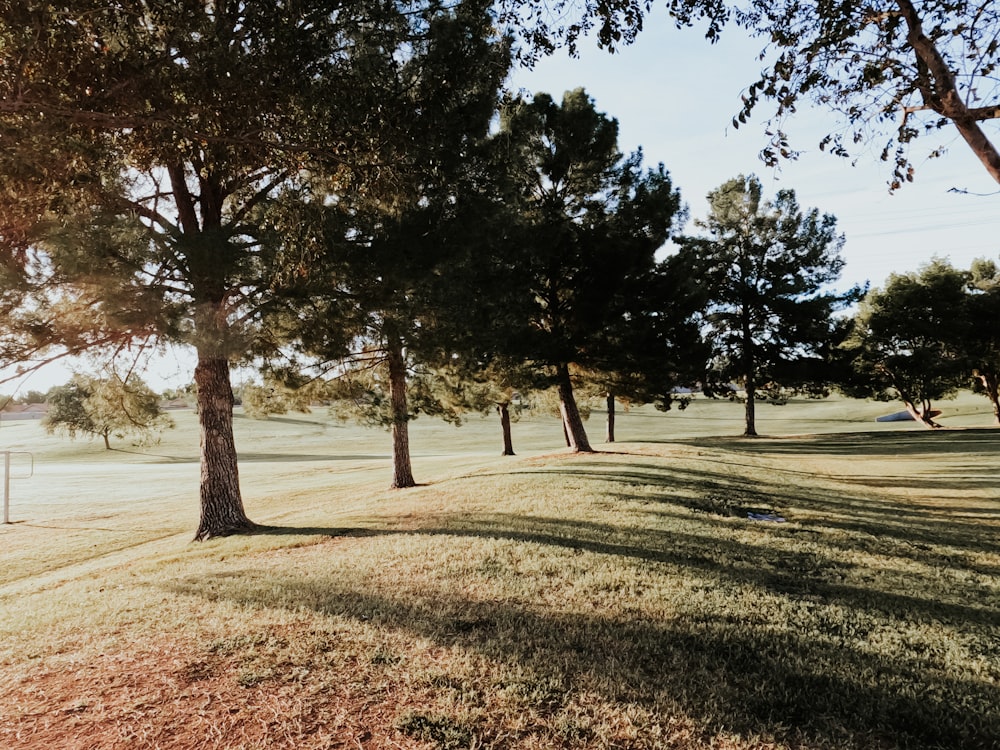 a grassy field with trees and a tennis court in the background