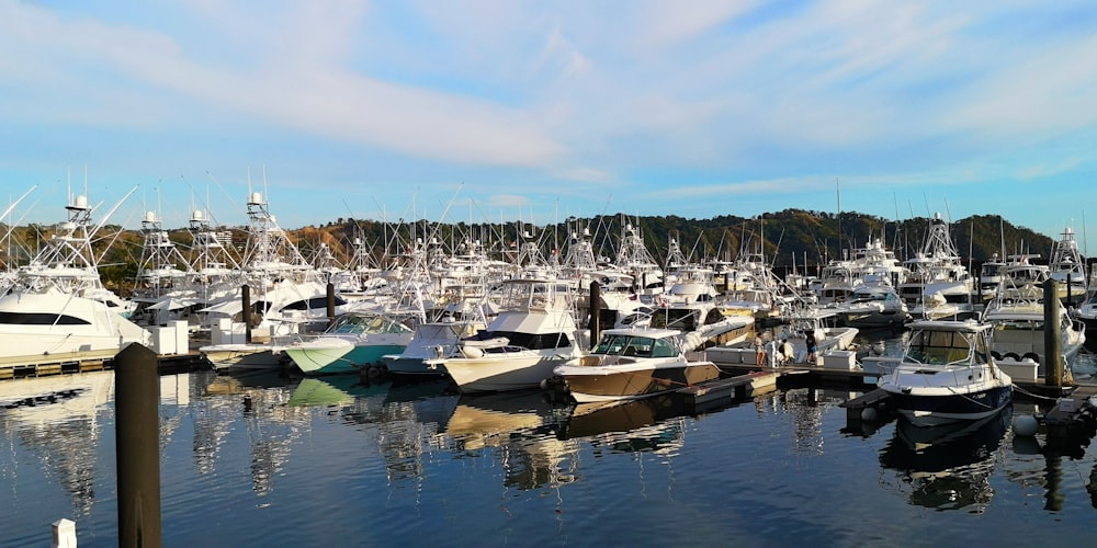 a marina filled with lots of boats under a blue sky