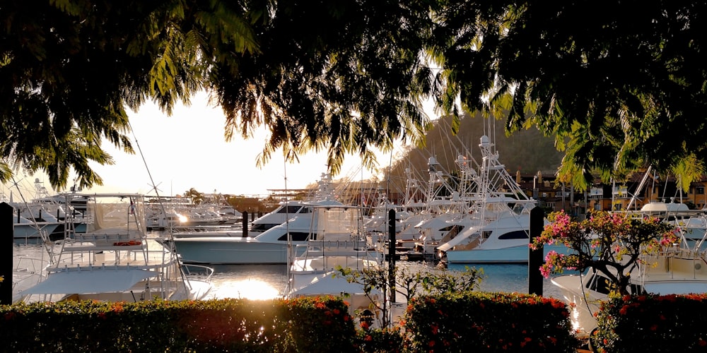 a marina filled with lots of white boats