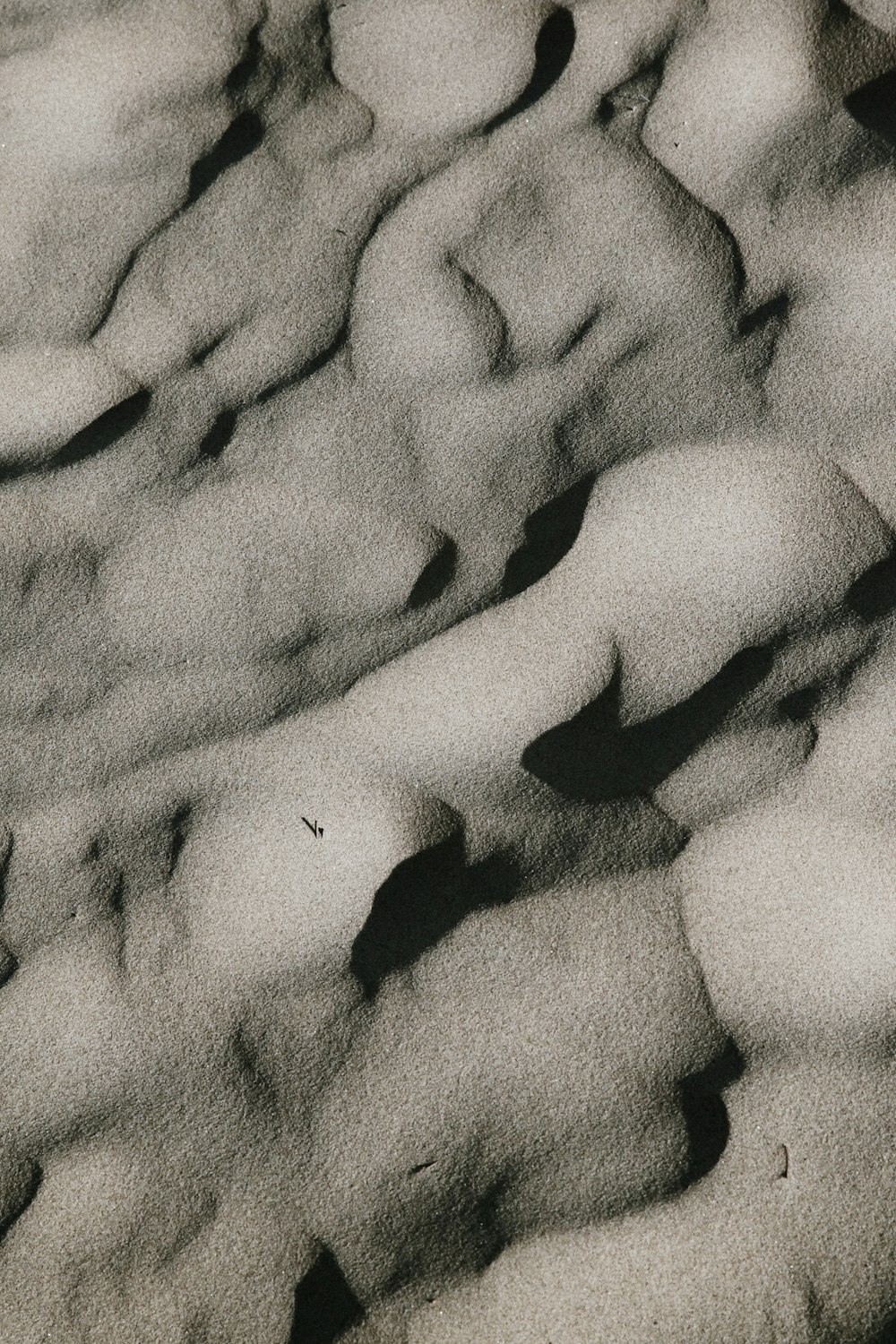 雪に覆われた地面の白黒写真