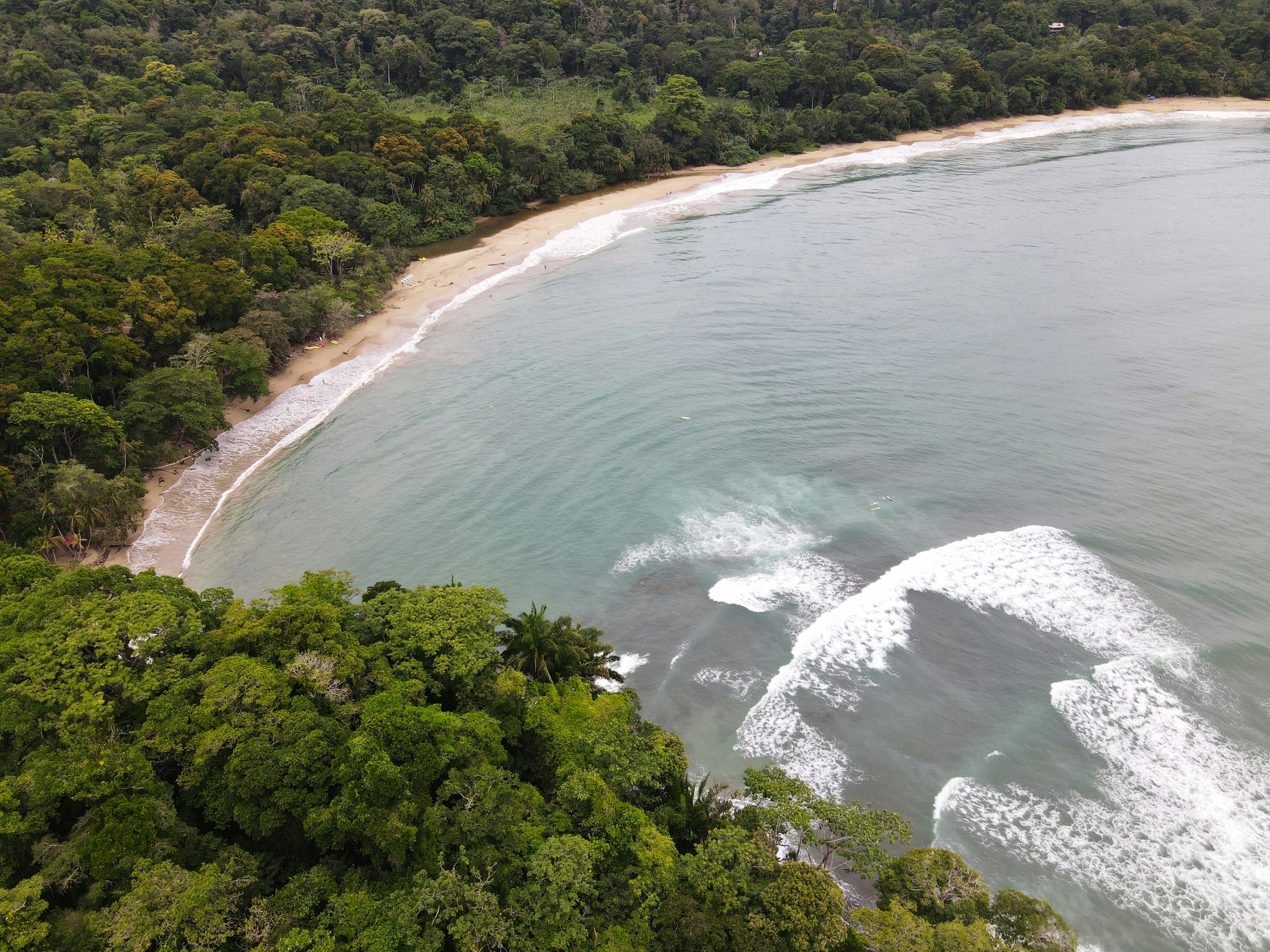 an aerial view of a beach and forested area, 