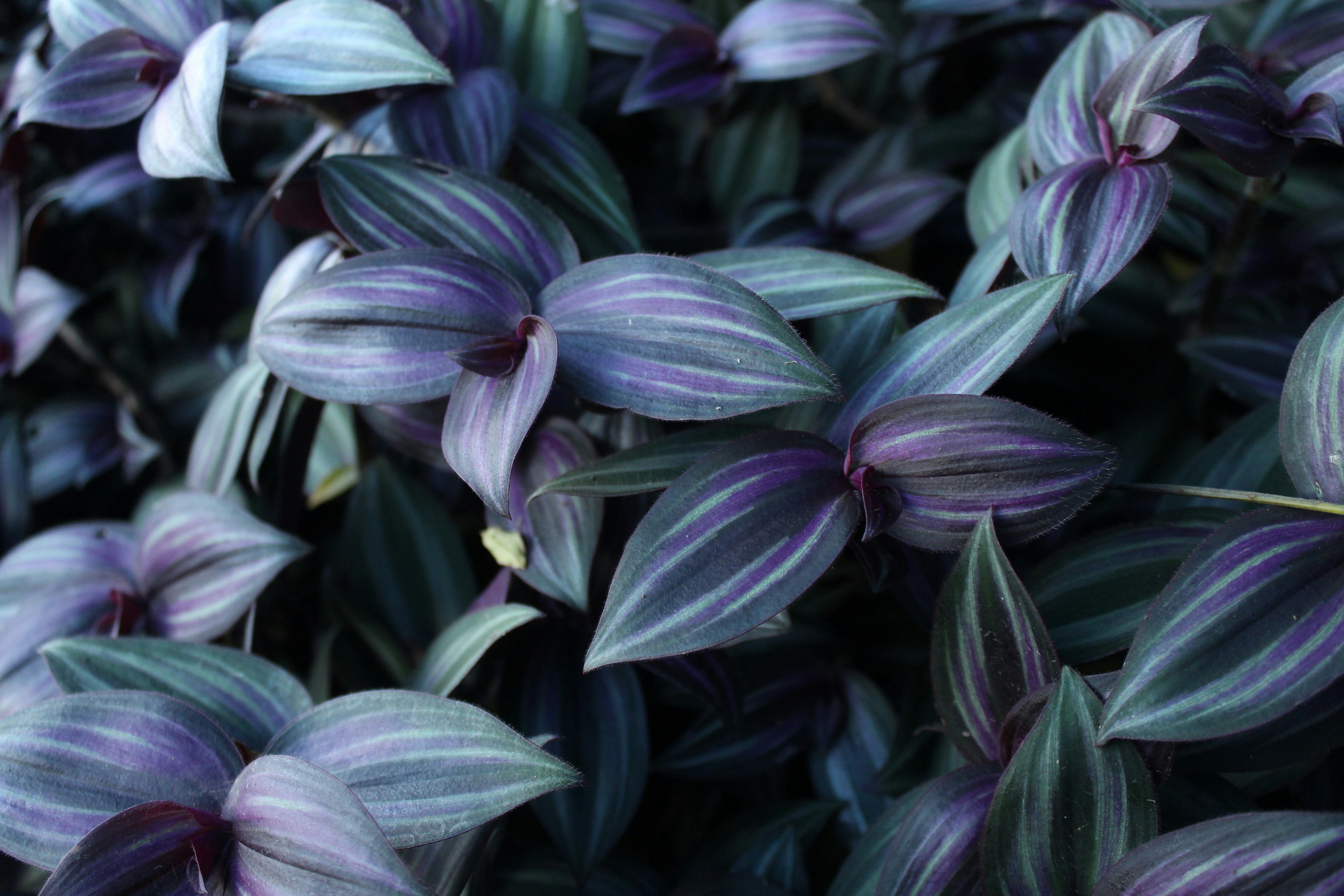 Photo by jeremyboley