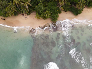 an aerial view of a sandy beach with palm trees