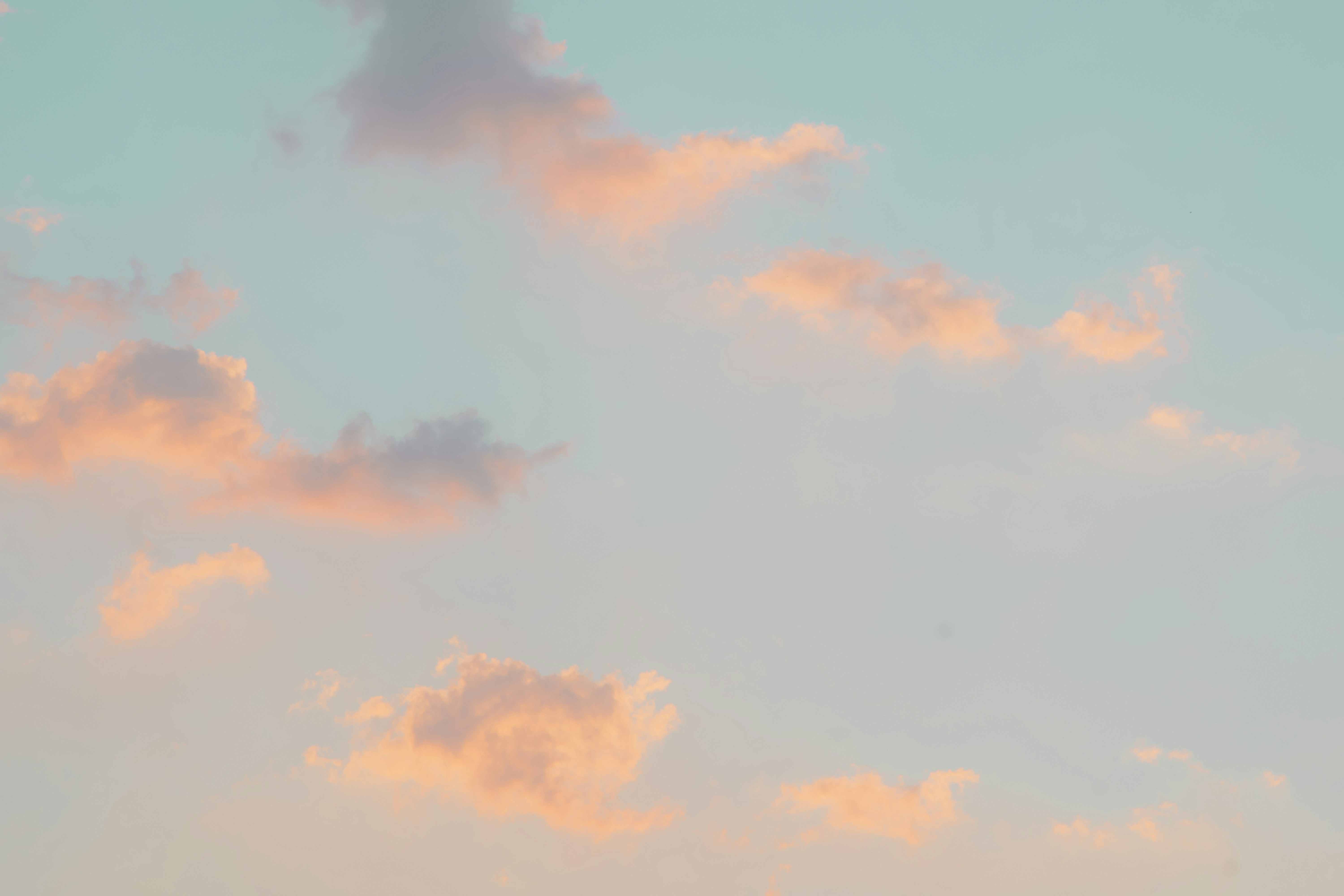 Photo by brunocervera