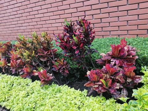 A sturdy brick retaining wall supporting a terraced garden with colorful plants.