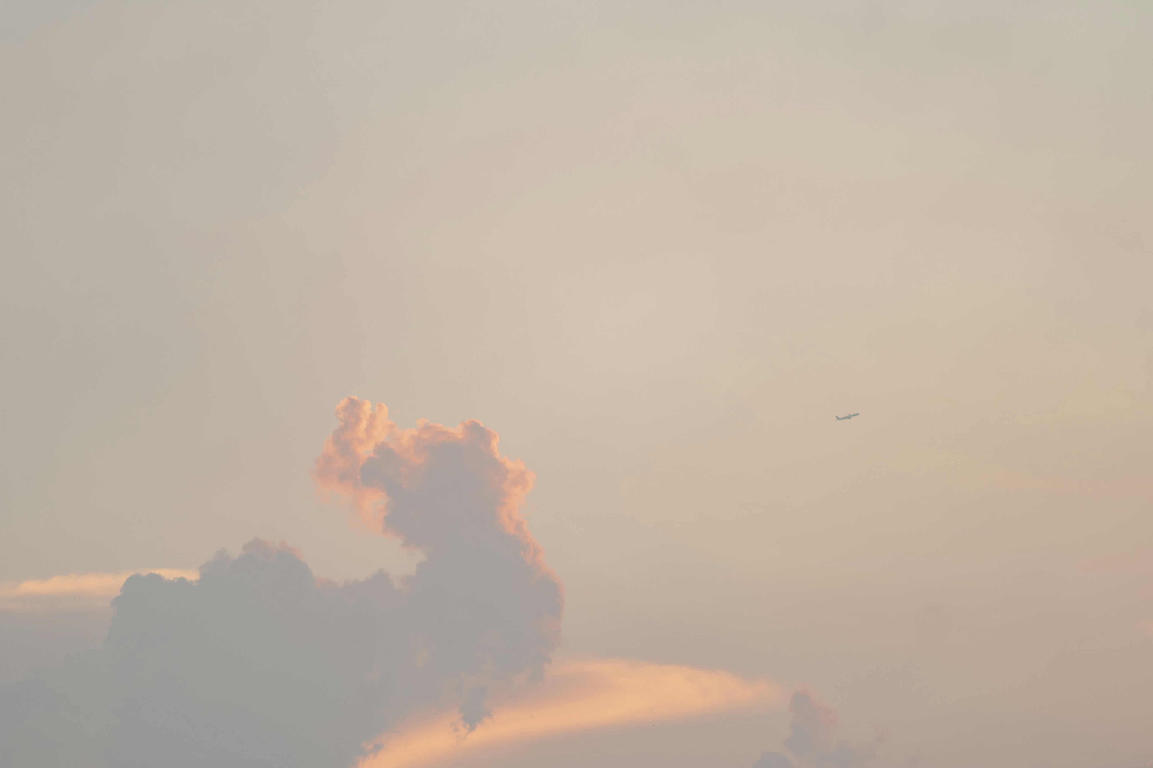 Photo by brunocervera