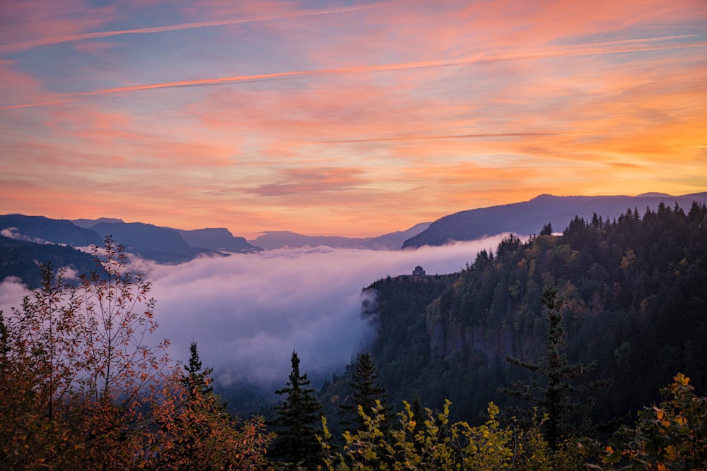 a sunset view of a valley with trees in the foreground