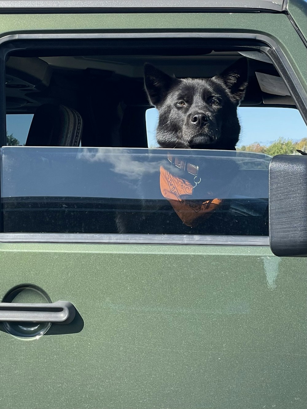 a black dog looking out the window of a green truck
