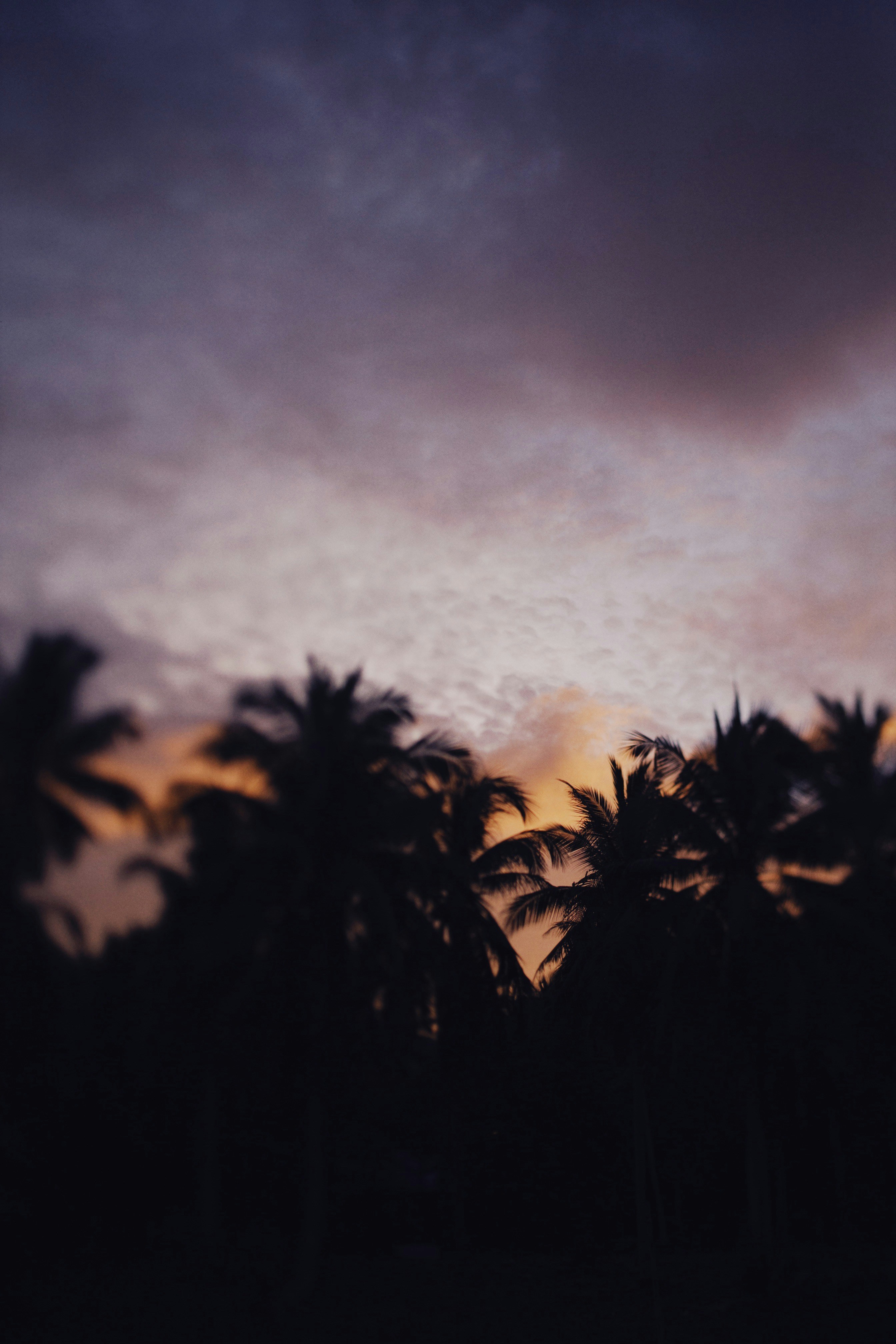 Photo by alexeydemidov