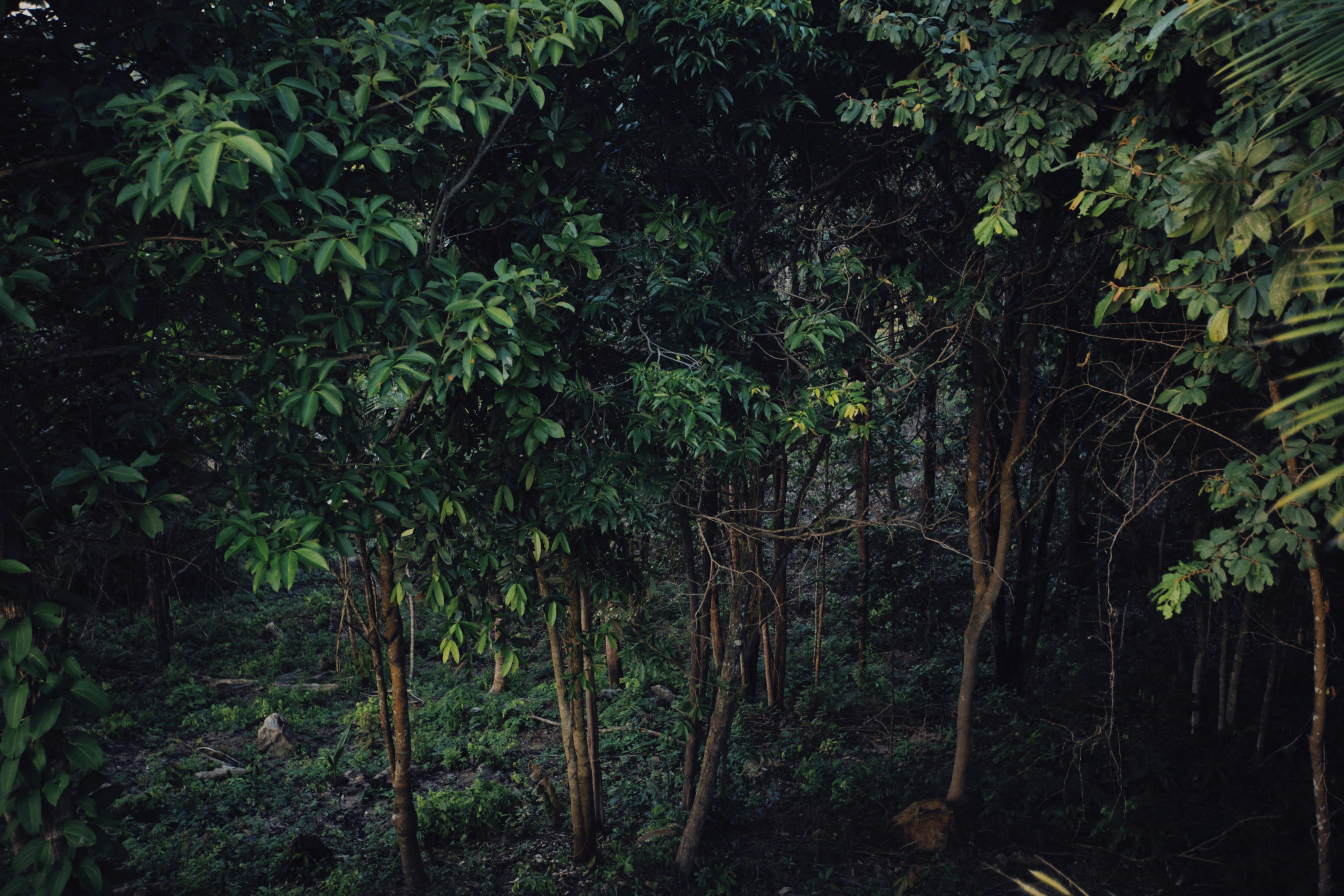 Photo by alexeydemidov