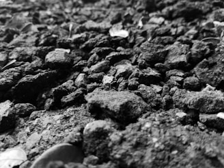 Wide shot of geotextile fabric laid out over soil for landscaping purposes.