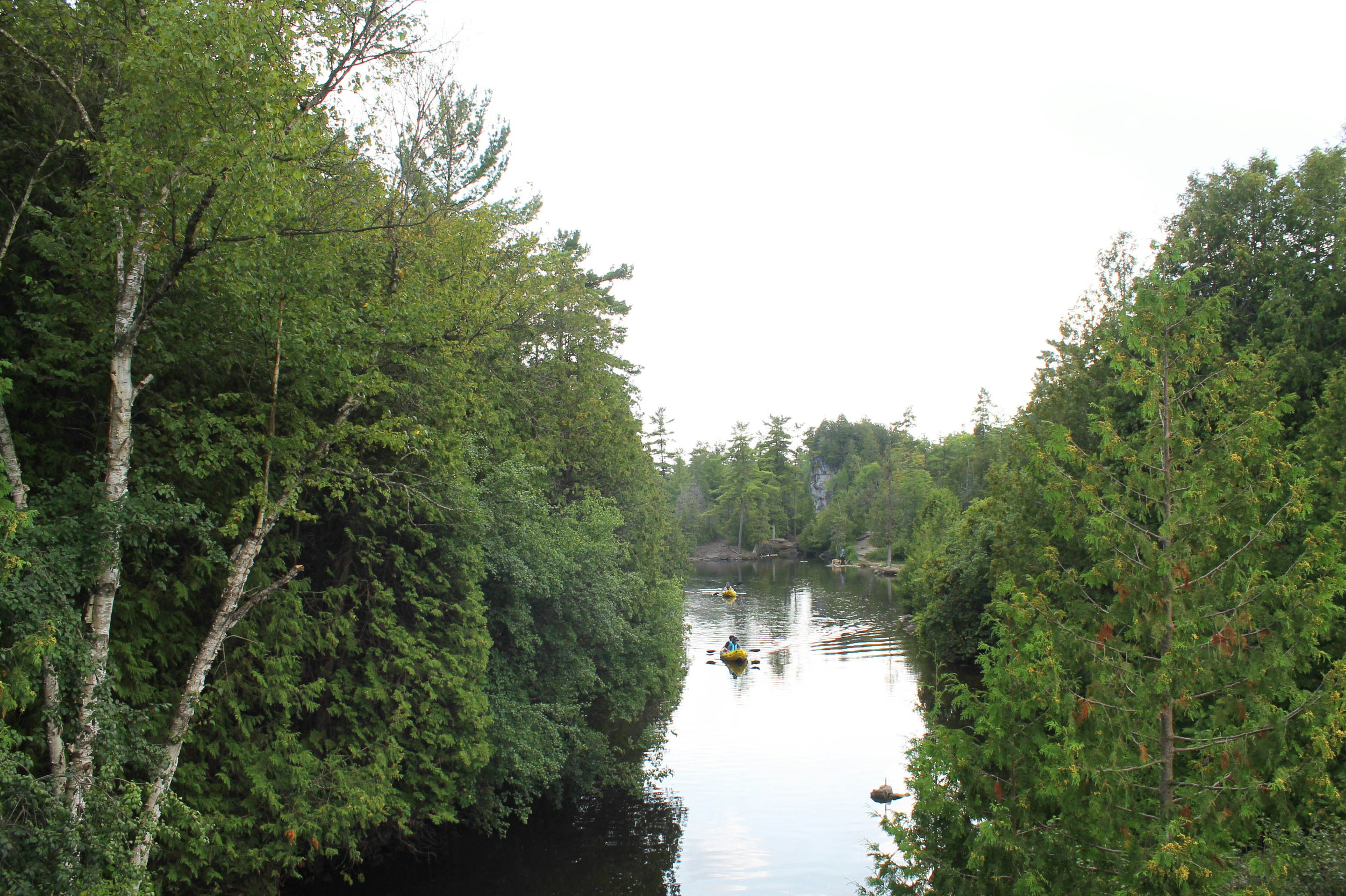 Photo by smohammad77