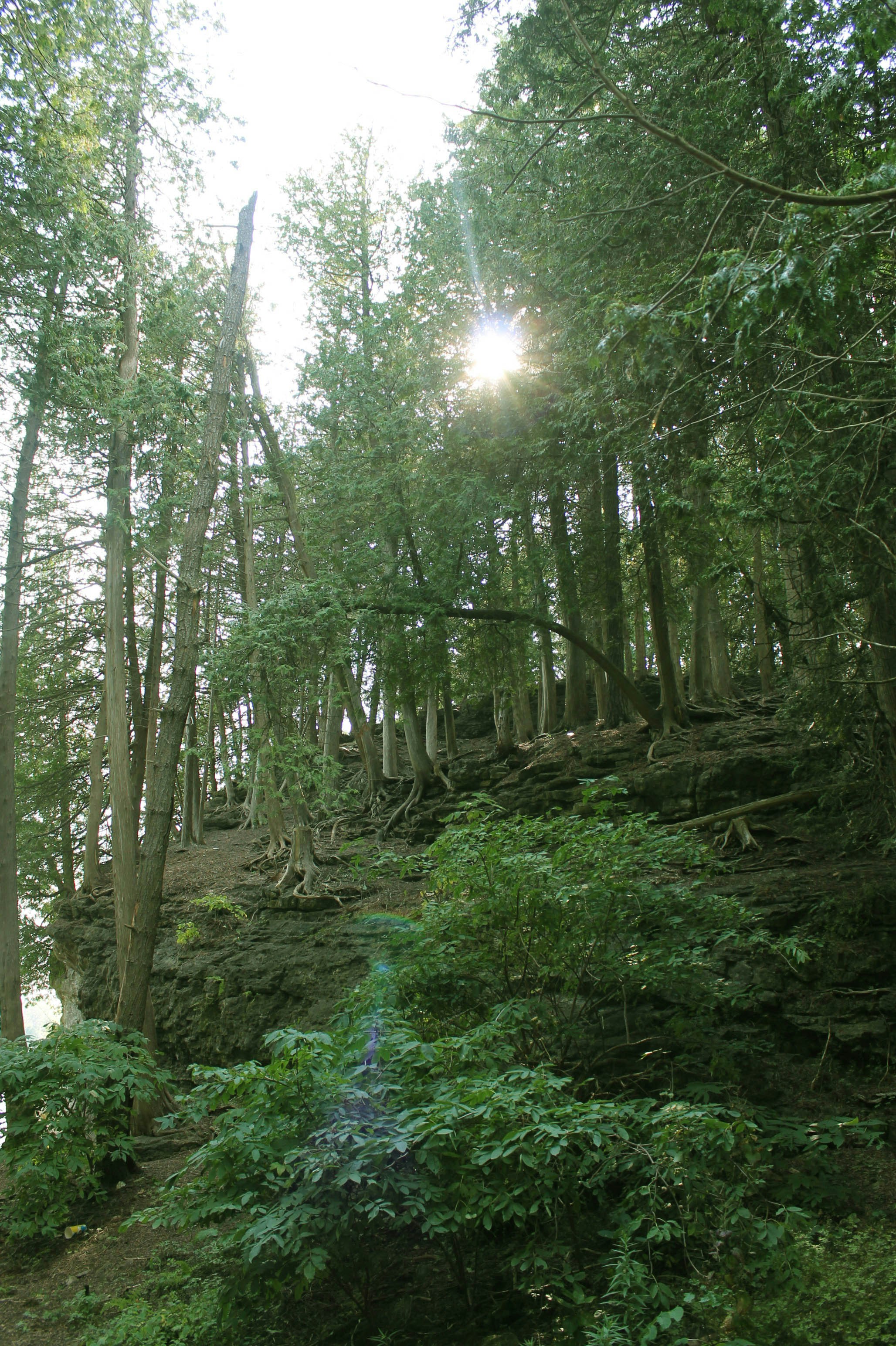 Photo by smohammad77