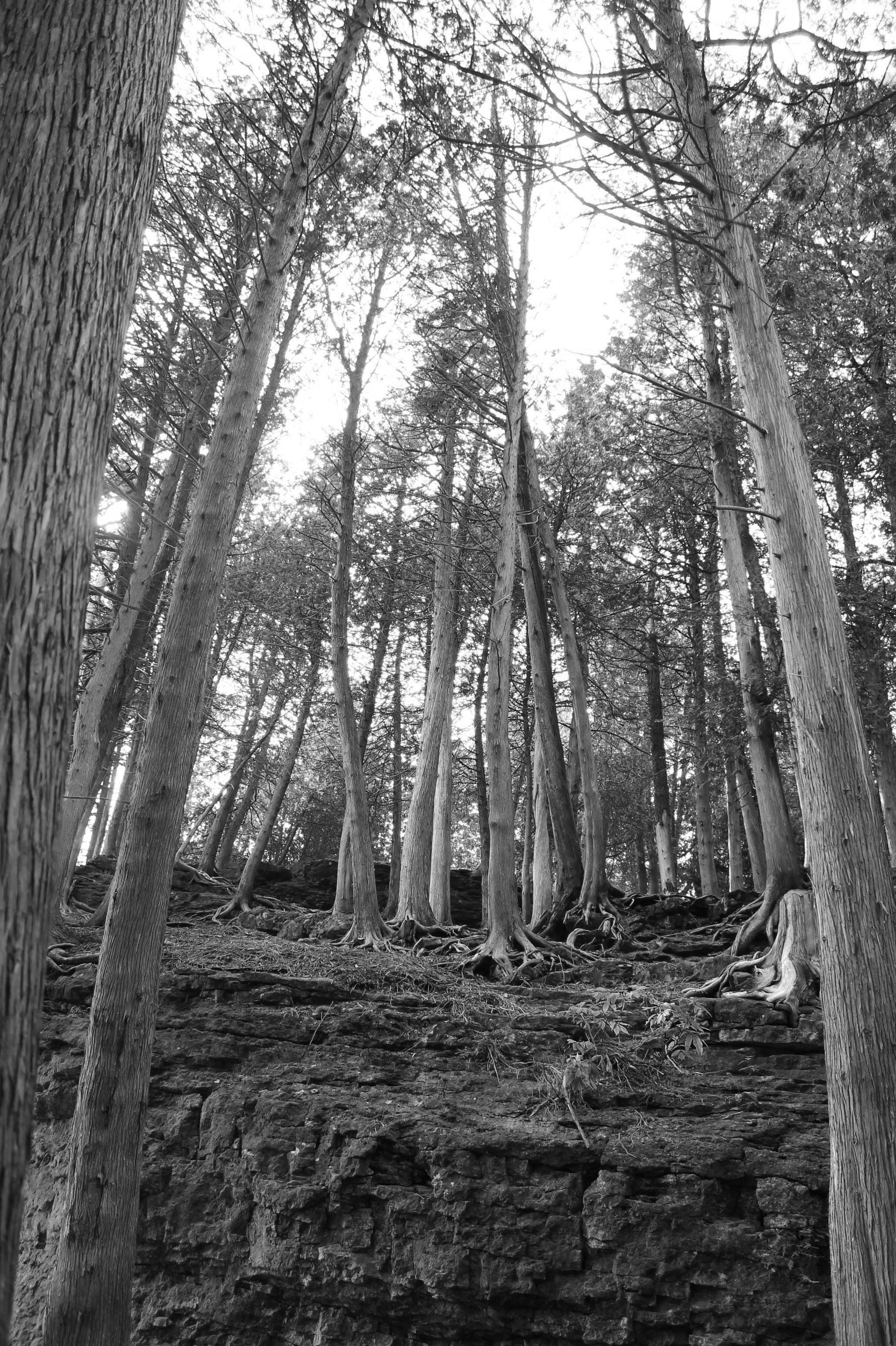 Photo by smohammad77