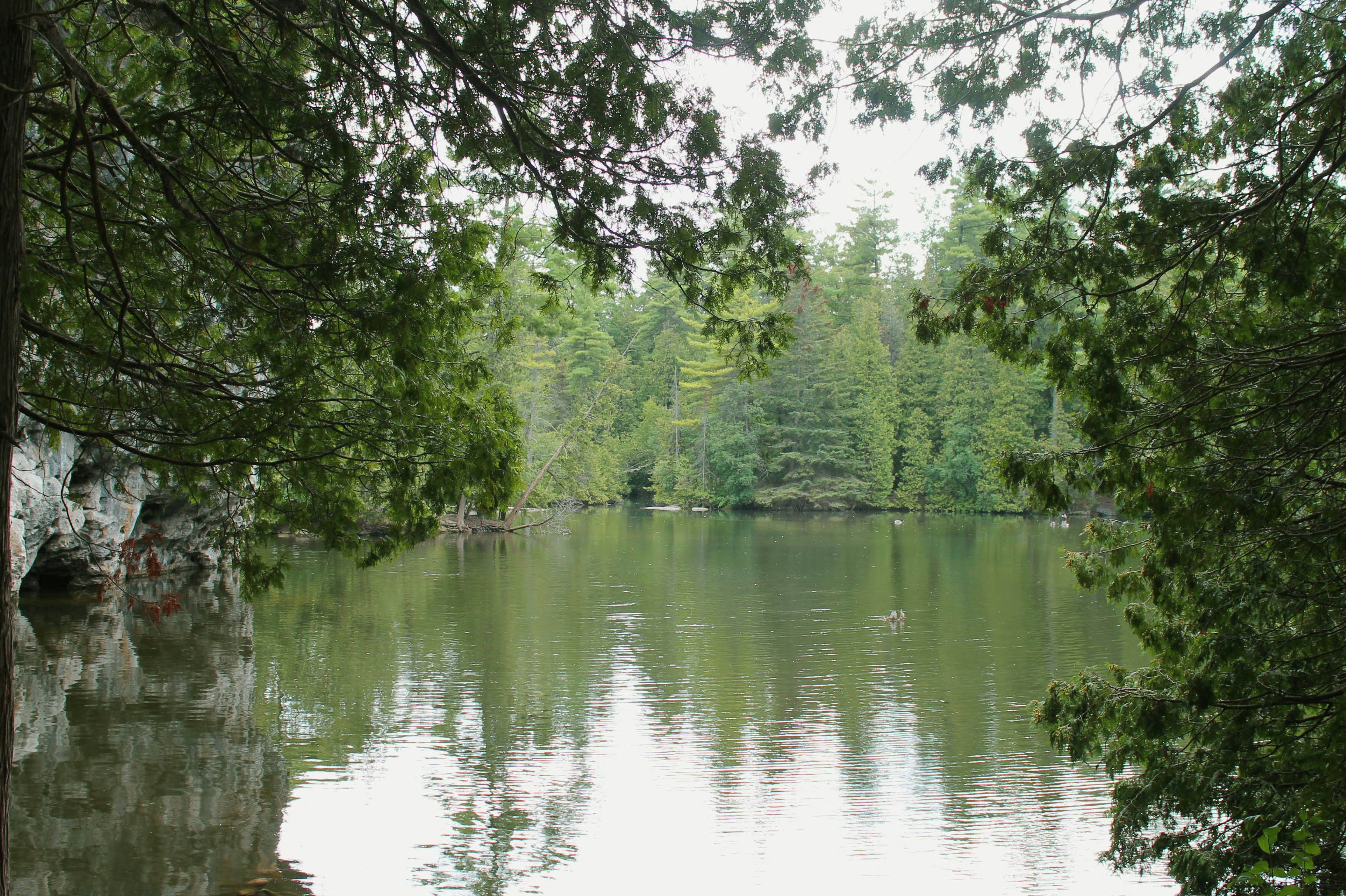 Photo by smohammad77